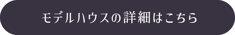嘉島イオン号地LP_モデル詳細ボタン